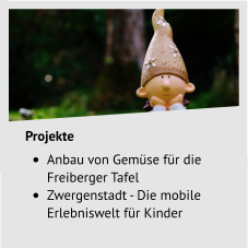 Projekte •	Anbau von Gemüse für die Freiberger Tafel •	Zwergenstadt - Die mobile Erlebniswelt für Kinder